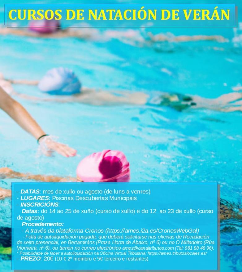 Cursos de natación Cursos de natación