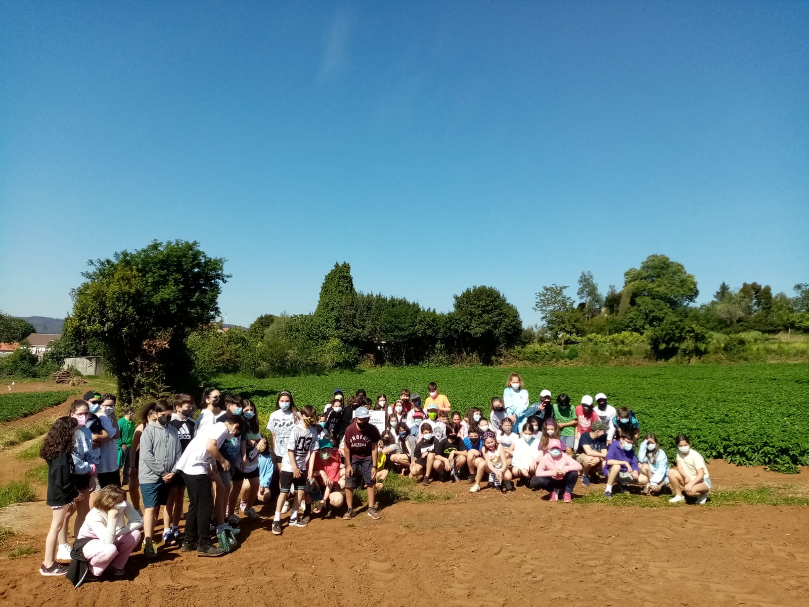 Alumnos/as de 6º de Primaria do CEIP A Maía visitan a plantación de patacas de Coristanco
