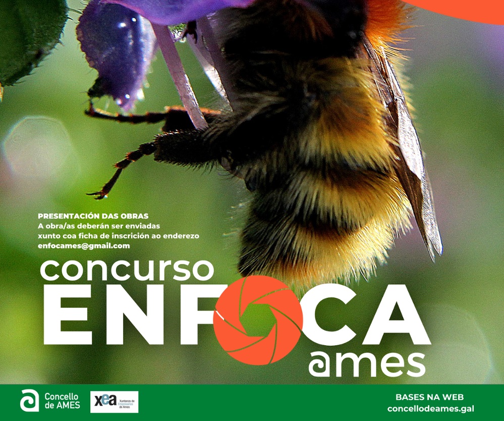 Cartel do concurso de fotografía Enfoca Ames Cartel do concurso de fotografía Enfoca Ames