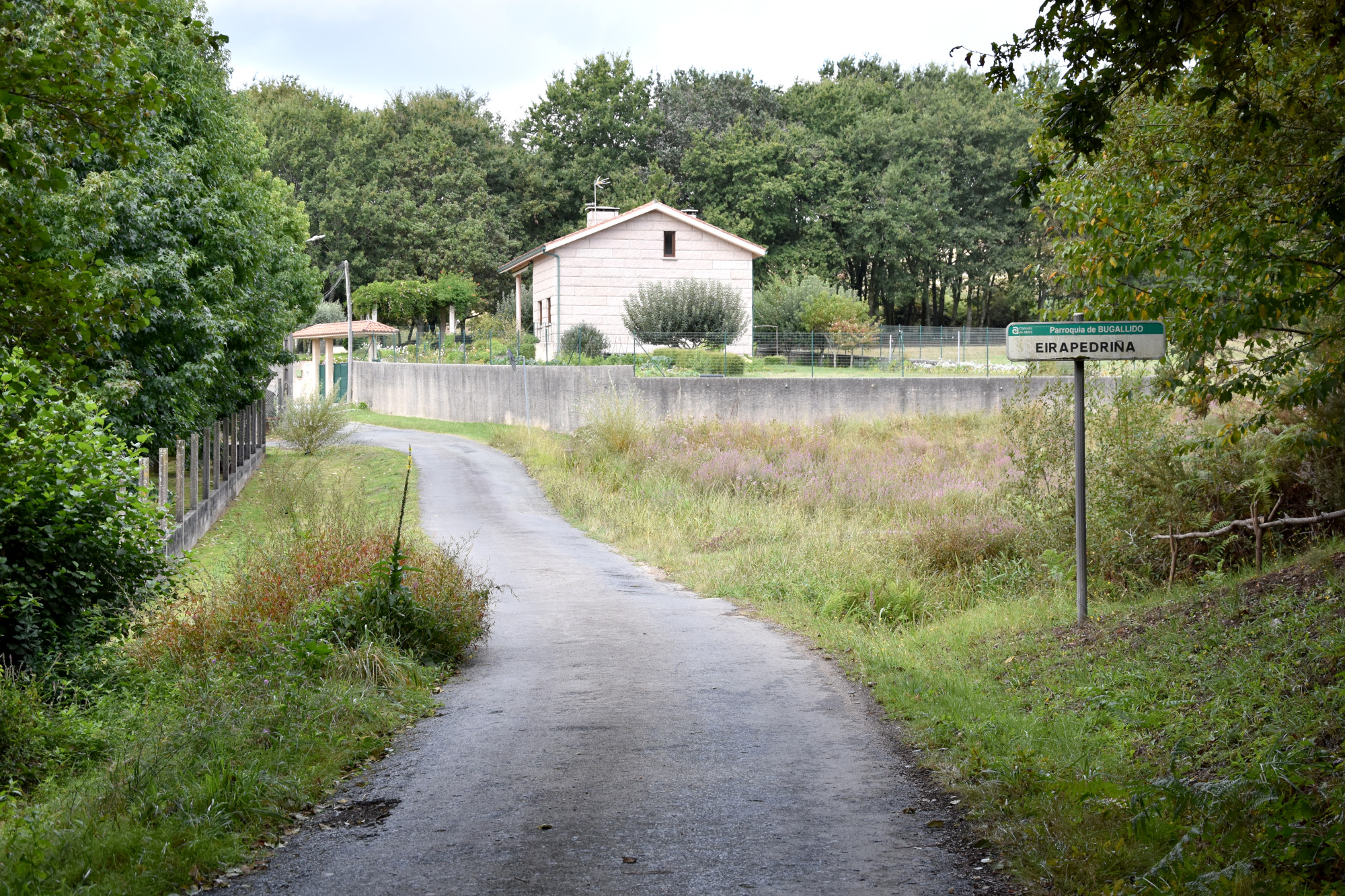 Apróbase a adxudicación das obras de mellora da pavimentación na estrada de Eirapedriña, en Bugallido, por 155.288 euros Apróbase a adxudicación das obras de mellora da pavimentación na estrada de Eirapedriña, en Bugallido, por 155.288 euros