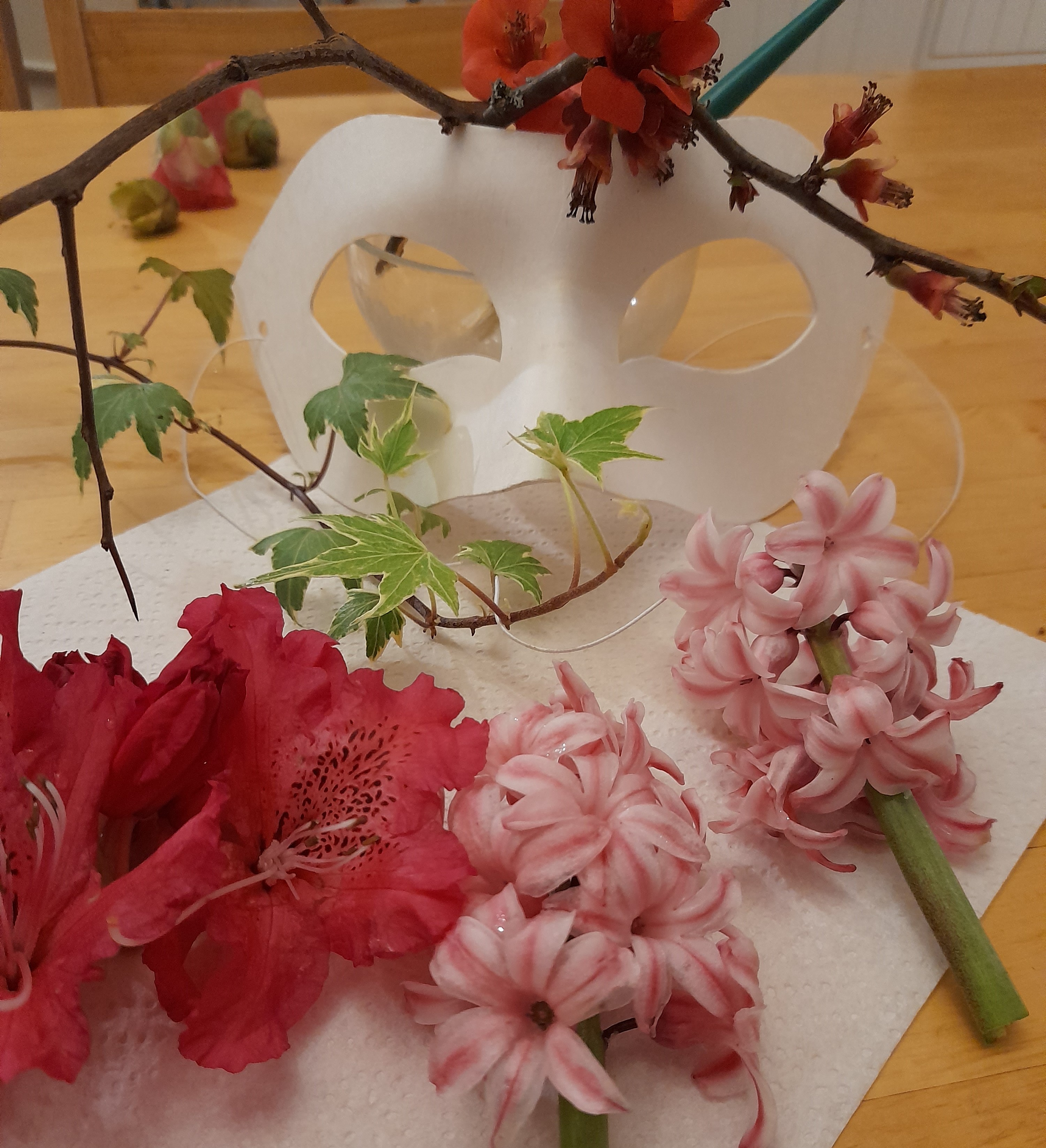 A Aula da Natureza organiza o 3 de febreiro un obradoiro de máscaras de Entroido A Aula da Natureza organiza o 3 de febreiro un obradoiro de máscaras de Entroido