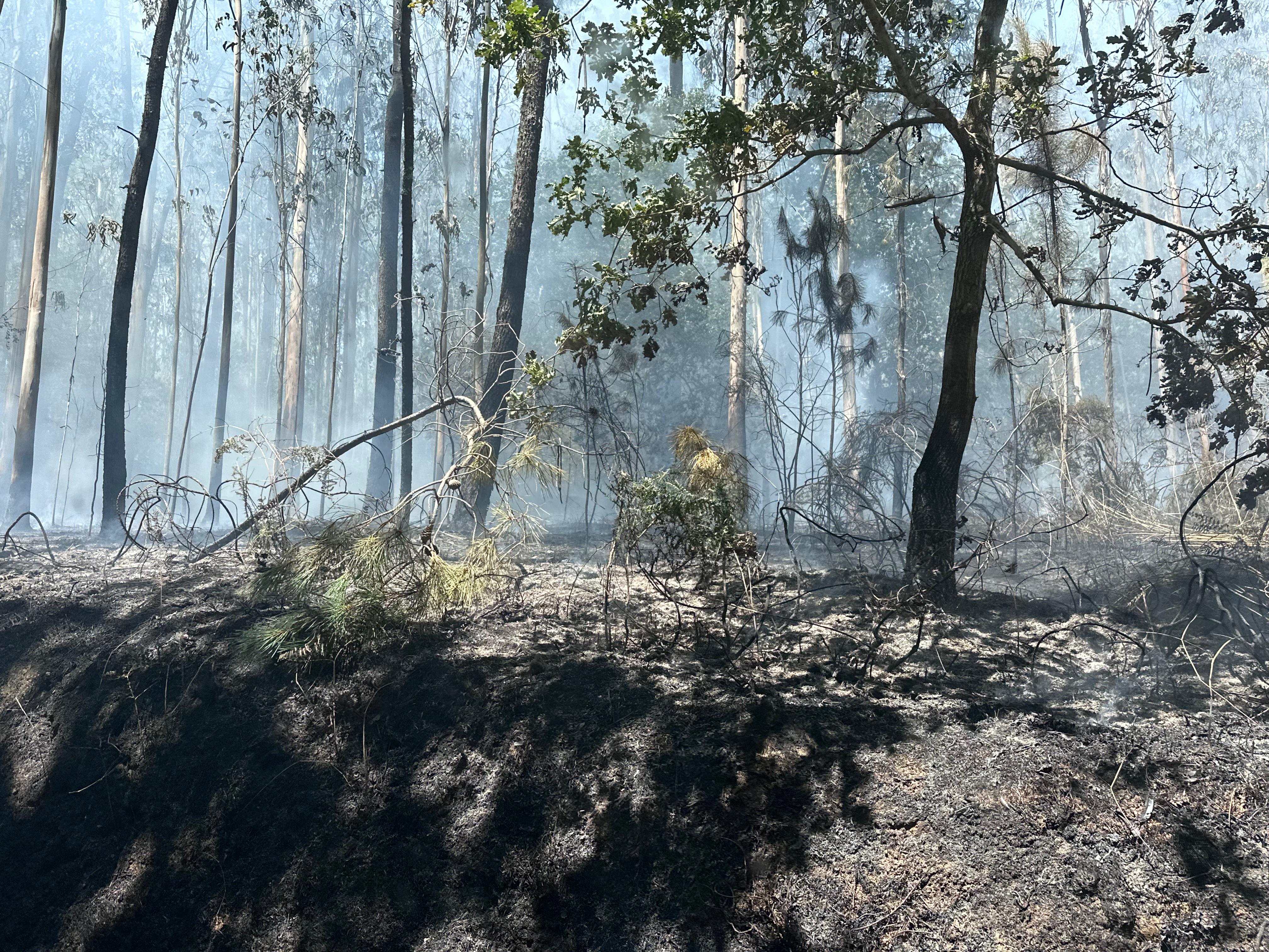 Estabilizado o incendio forestal que se produciu esta mañá no lugar de Caroubáns Estabilizado o incendio forestal que se produciu esta mañá no lugar de Caroubáns