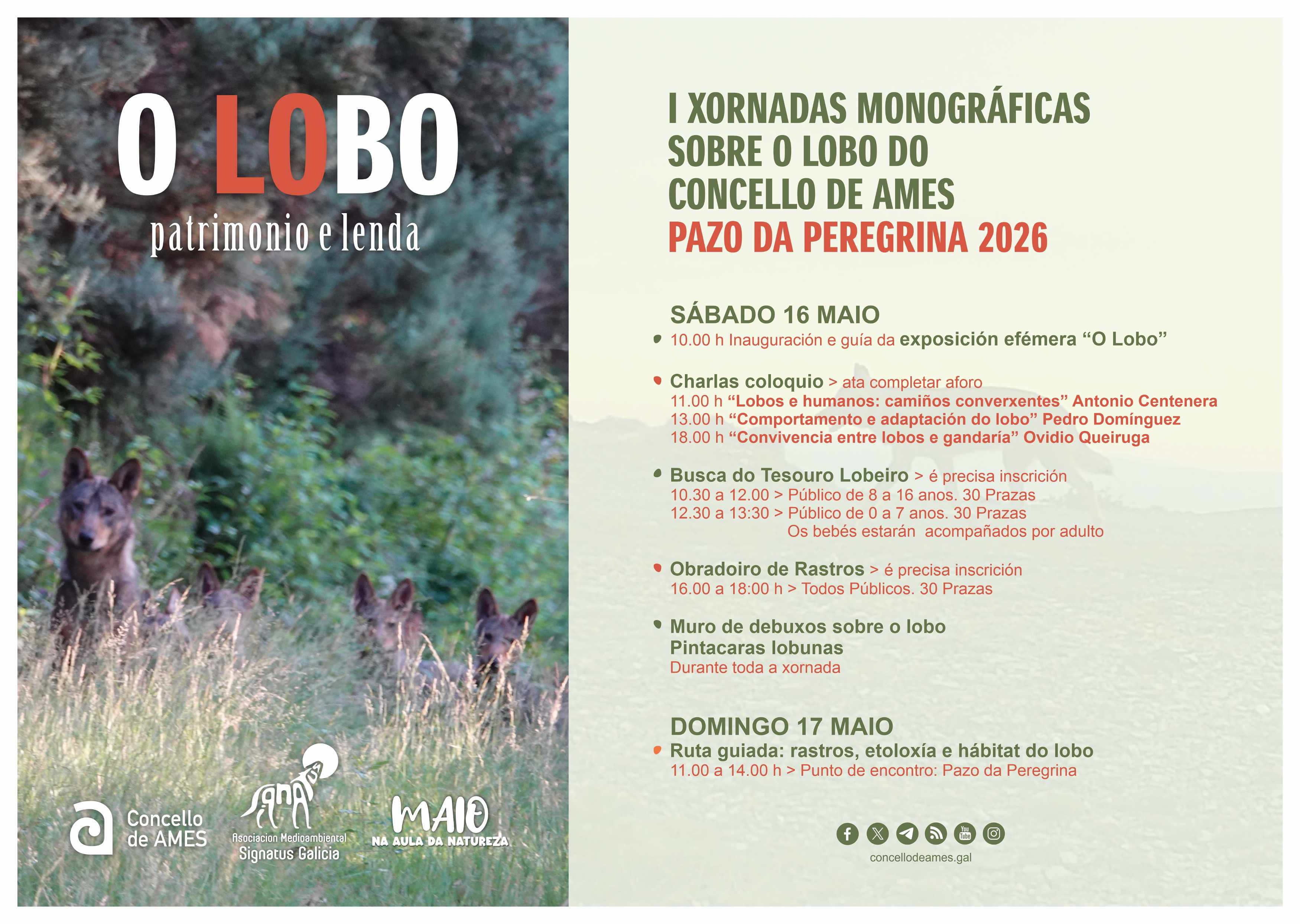 O lobo será o gran protagonista da fin de semana en Ames O lobo será o gran protagonista da fin de semana en Ames