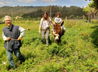 Os nenos/as da escola municipal infantil A Madalena visitaron o centro de terapia “O fogar do meu burro&quot; 