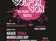 Cartel do festival SolporSon de Ames 2019