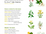 Cartel das xornadas sobre as plantas medicinais