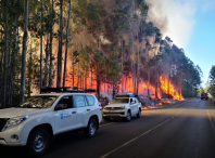 O incendio afectou a 21 hectáreas