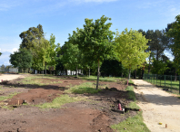 Obras de acondicionamento do parque verde central do Milladoiro