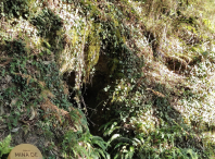 I Ruta do Apego do Concello de Ames I Ruta do Apego do Concello de Ames