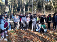 A Aula da Natureza retoma as súas actividades de grupo nos centros educativos de Ames