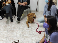 Ames inicia un programa de intervención asistida con cans de apoio social, co fin de mellorar a calidade de vida das súas maiores