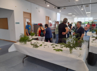 As plantas cotiás e o contacto co entorno ocuparon a fin de semana da Aula da Natureza