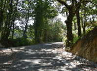 O Goberno municipal visita as melloras executadas nos accesos e interiores de Ortoñiño e As Cortes O Goberno municipal visita as melloras executadas nos accesos e interiores de Ortoñiño e As Cortes