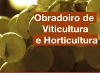 Aberto o prazo para inscribirse no obradoiro de viticultura e horticultura