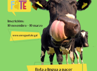 Cartaz do Enreguéifate