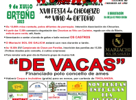 Cartel da XVII Festa do chourizo ao viño