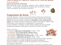 Imaxe da programación de outono da Aula da Natureza