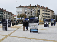 Imaxe da exposición que recolle o proceso de humanización da améndoa central de Bertamiráns