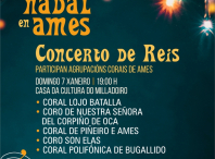 Cartaz do Concerto de Reis