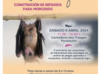 A Aula da Natureza organiza o 6 de abril o obradoiro “Alianza cos morcegos”