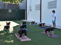 Comezan no Milladoiro e Bertamiráns as actividades deportivas e terapéuticas de verán