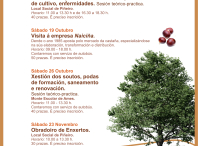 A Aula da Natureza organiza este outono catro xornadas para poñer en valor a castaña e os castiñeiros