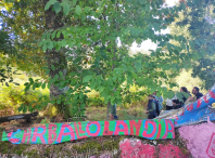 60 persoas participan na excursión a Carballolandia, incluída no programa Apego