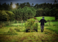 A herba, segundo premio da categoría patrimonio