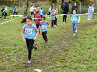 Máis de 2.000 escolares participaron en Ames na fase comarcal do Campionato de Cros Xogade