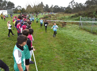 Máis de 2.000 escolares participaron en Ames na fase comarcal do Campionato de Cros Xogade