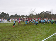 Máis de 2.000 escolares participaron en Ames na fase comarcal do Campionato de Cros Xogade