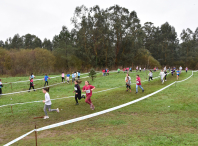 Máis de 2.000 escolares participaron en Ames na fase comarcal do Campionato de Cros Xogade
