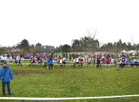 Máis de 2.000 escolares participaron en Ames na fase comarcal do Campionato de Cros Xogade