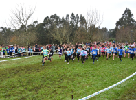 Máis de 2.000 escolares participaron en Ames na fase comarcal do Campionato de Cros Xogade
