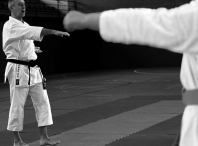 Jesús Latorre foi o mestre que impartiu o curso de kata tradicional