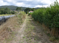 Adxudícanse por preto de 65.000 euros as obras de mellora dos camiños en Quintáns e de Proupín a Lamas incluídas no Plan Camiña Rural 2025-2026 Adxudícanse por preto de 65.000 euros as obras de mellora dos camiños en Quintáns e de Proupín a Lamas incluídas no Plan Camiña Rural 2025-2026