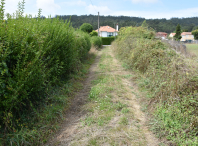 Adxudícanse por preto de 65.000 euros as obras de mellora dos camiños en Quintáns e de Proupín a Lamas incluídas no Plan Camiña Rural 2025-2026 Adxudícanse por preto de 65.000 euros as obras de mellora dos camiños en Quintáns e de Proupín a Lamas incluídas no Plan Camiña Rural 2025-2026