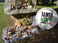 Preséntase a V Feira do Monte “Tanto Monte, Monte Tanto” con máis expositores e máis variedade de produtos
