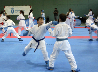 Seis deportistas do Dokkodo participan na concentración Team España Futuro celebrada en Teo