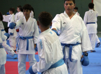 Seis deportistas do Dokkodo participan na concentración Team España Futuro celebrada en Teo