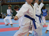 Seis deportistas do Dokkodo participan na concentración Team España Futuro celebrada en Teo