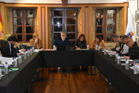 Imaxe do pleno extraordinario do 30 de novembro