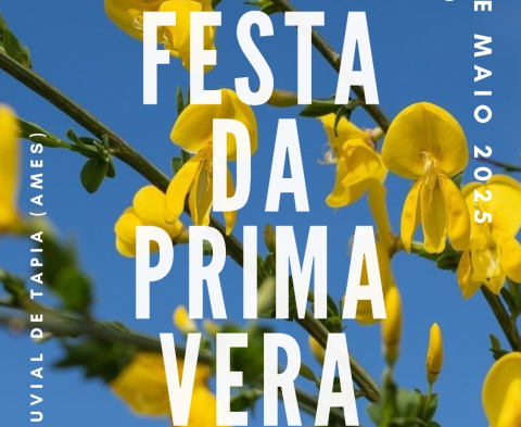 O CEIP de Barouta organiza para o sábado 24 de maio a Festa da Primavera 2025