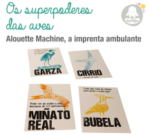 Xa está aberto o prazo de inscrición para o obradoiro “Os superpoderes das aves” Xa está aberto o prazo de inscrición para o obradoiro “Os superpoderes das aves”