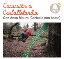 Participa na excursión a Carballolandia, incluída no programa Apego Participa na excursión a Carballolandia, incluída no programa Apego