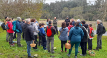 31 persoas participaron na primeira saída “As voltas cos cogomelos” organizada pola Aula da Natureza 31 persoas participaron na primeira saída “As voltas cos cogomelos” organizada pola Aula da Natureza