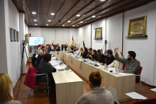 O Pleno aproba por unanimidade a creación do Consello Sectorial da Xuventude do Concello de Ames O Pleno aproba por unanimidade a creación do Consello Sectorial da Xuventude do Concello de Ames