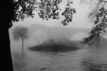 Ponte Maceira, primeiro premio da categoría patrimonio Ponte Maceira, primeiro premio da categoría patrimonio