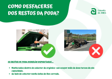 O Concello de Ames pon en marcha unha campaña informativa sobre “Como desfacerse dos restos da poda?”
