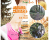 Portada andaina saudable Ruta do Tambre